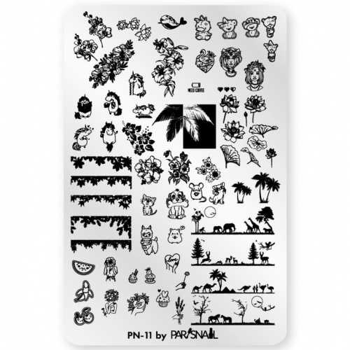 PN-11