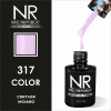 NR 317