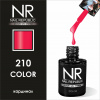 NR 210