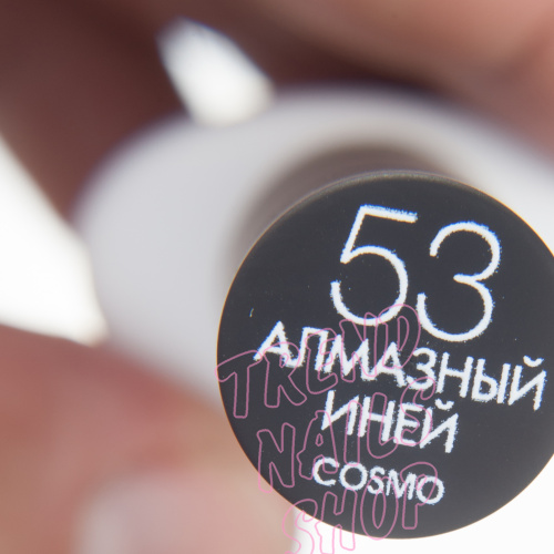 WMW_3801