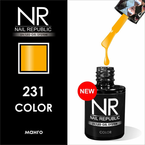 231