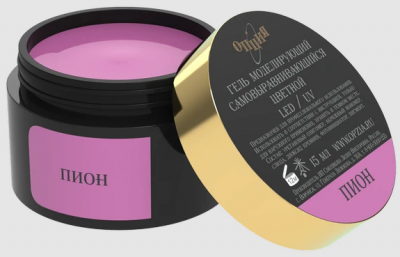 пион