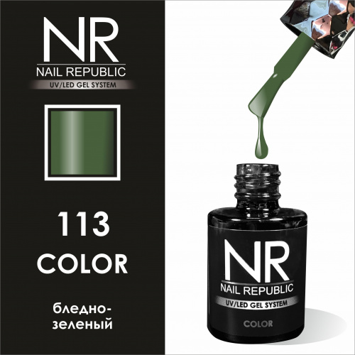 NR 113