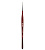 ds 13